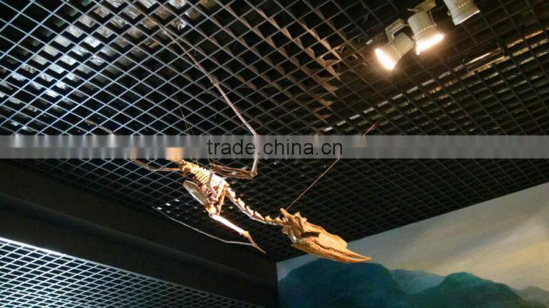 Animatronic Dinosaur Skeleton Equipment