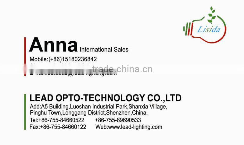 AC85-265V IP65 waterproof outdoor projector outdoor using led light