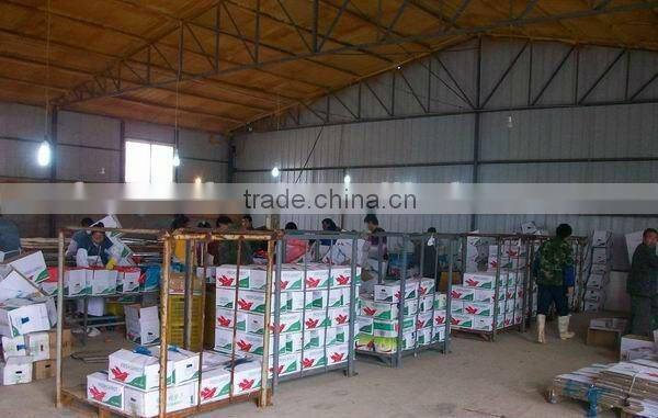 2014 new crop best price of farm fresh Carrot