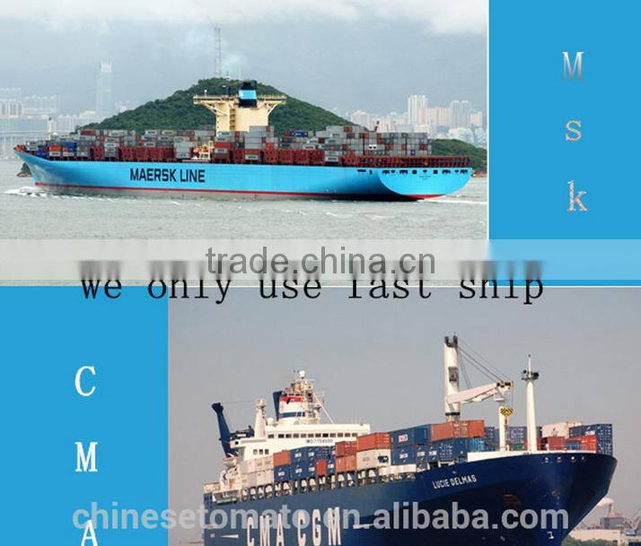 organic 70g VEGO brand sachet Tomato sauce