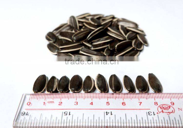 Bulk organic sunflower seeds export