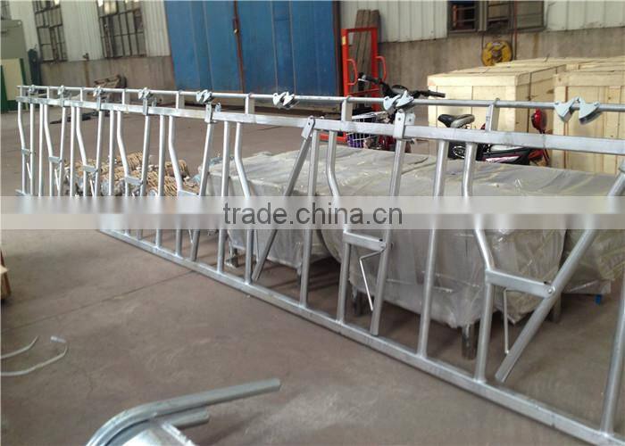 Galvanized Steel Pipe Cow Healock for 8 Cows Locking