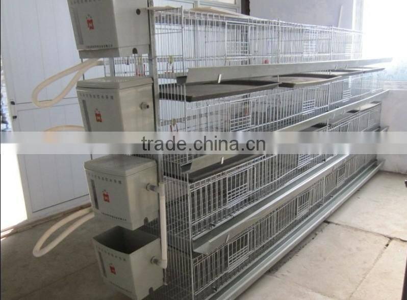 poultry dung removing machinery equipment /layer poultry cages for nigeria/africa