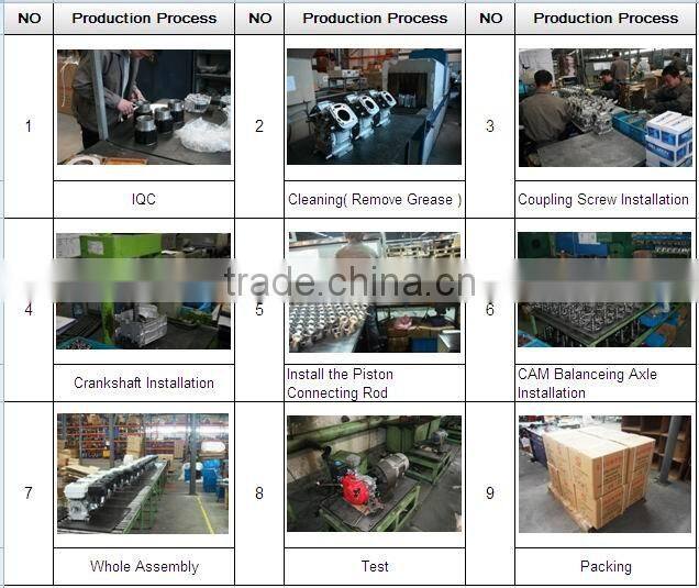 General Gasoline Engine 16hp Kick Start