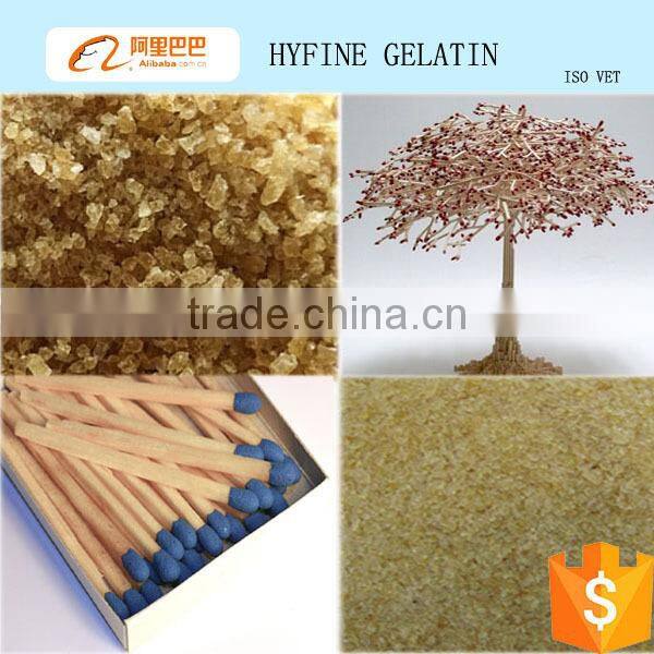 Match glue/technical skin gelatin as adhesive for matches