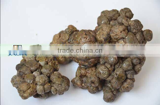 high refined pure bee propolis extract