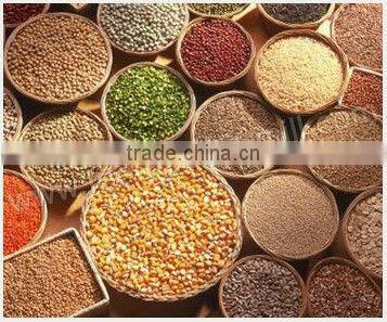 Animal Goat Feed Pellet Making Machine ( 0086 13721419972)