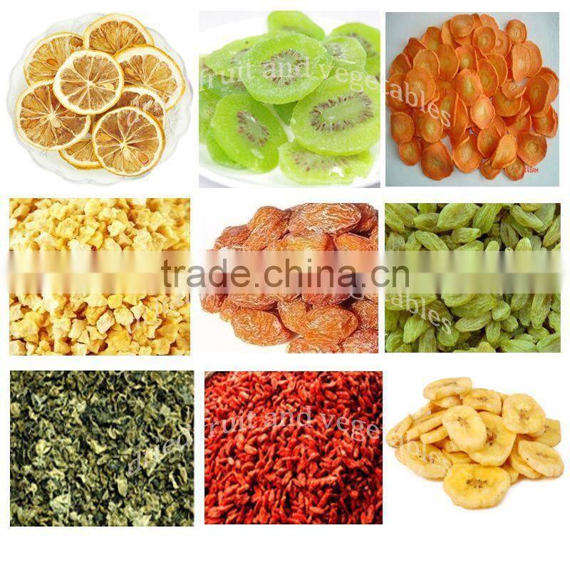 Electric fish dehydrating machine