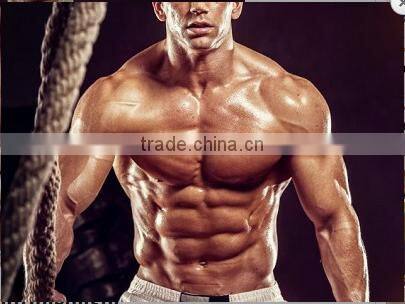 XINSAILFISH Golds 50' battle rope 2.5" customized color