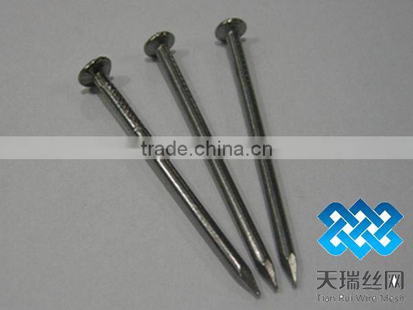 Low price polished/galvanized common nails(factory)
