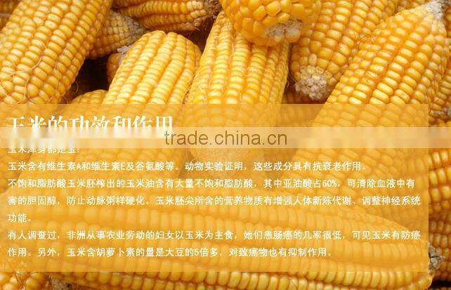 New Corn Kerneler Stripper Peeler Thresher Kitchen Tool Washable One Step