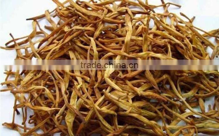 vegetable dryer machine /fruit dryer machine