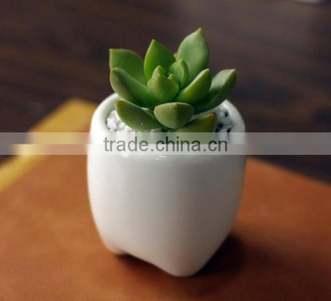 Zakka indoor mini tooth-shaped ceramic white flower pot for succulents