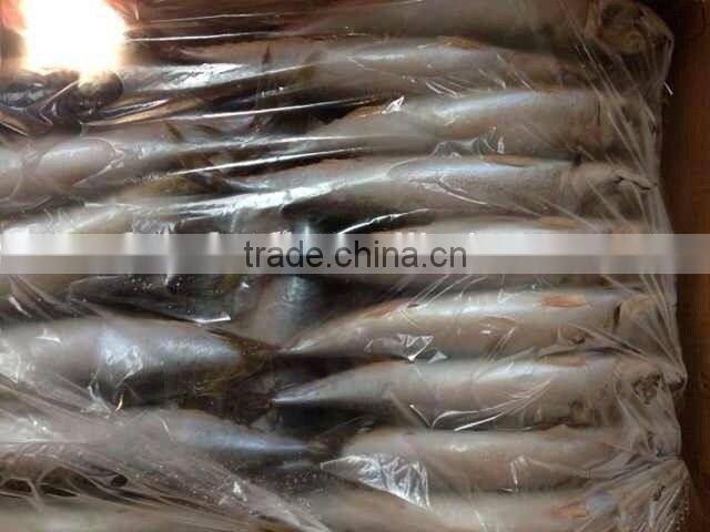 online store suppliers frozen mackerel