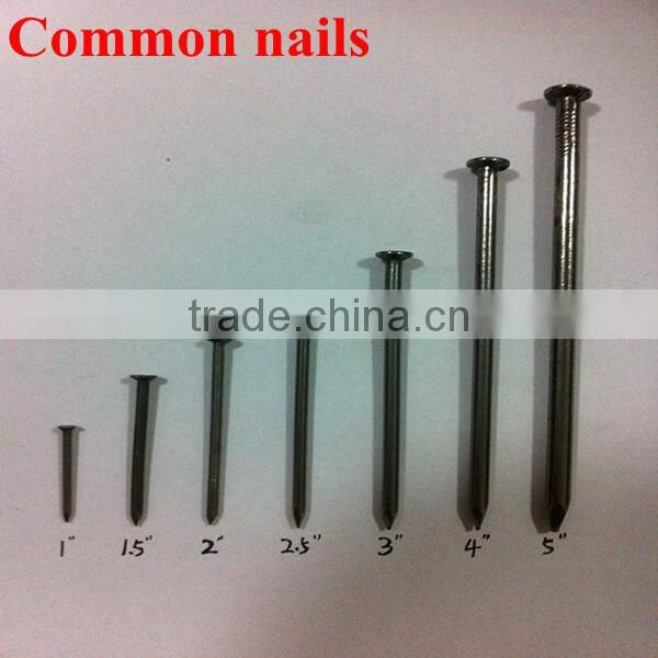polished wooden nails iron nails Common nails