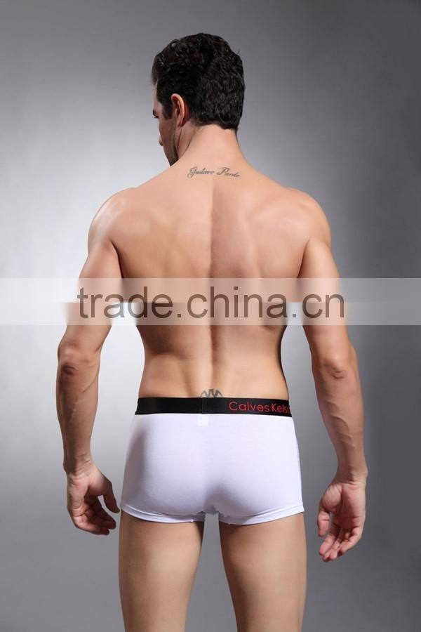 Quality Brand Men's Underwear Boxers Cotton Underwear Pants Fashion Men Underwear Boxer Shorts Comfortable