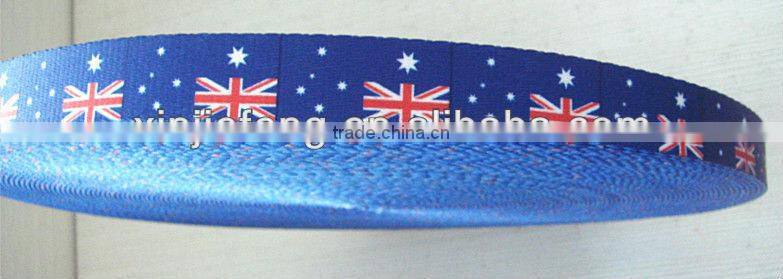 PP Nyon Webbing Leashes