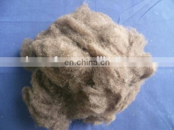 Sharrefun dehaired and carded mongolian cashmere fibres