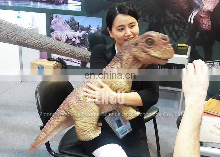 Playground Equipment 3D Realistic Dinosaur Puppet