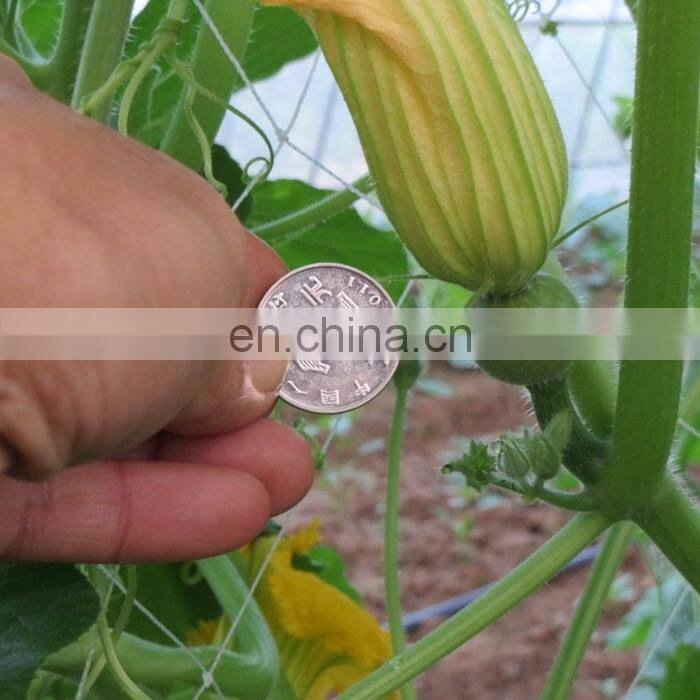 18x18cm square trellis netting/2x60m cucumber climbing mesh plant support net