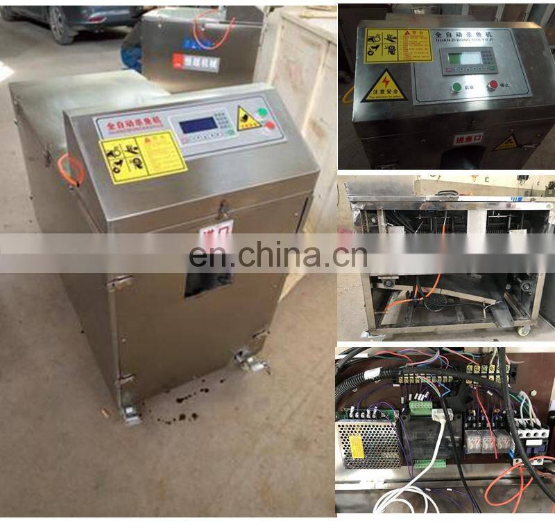 factory price Kill fish machine/fish processing with CE certificate