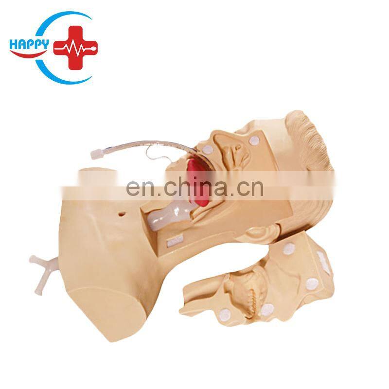 HC-S133 Advanced Bladder Nursing Training Manikin/Female Urinary Bladder Puncture Model