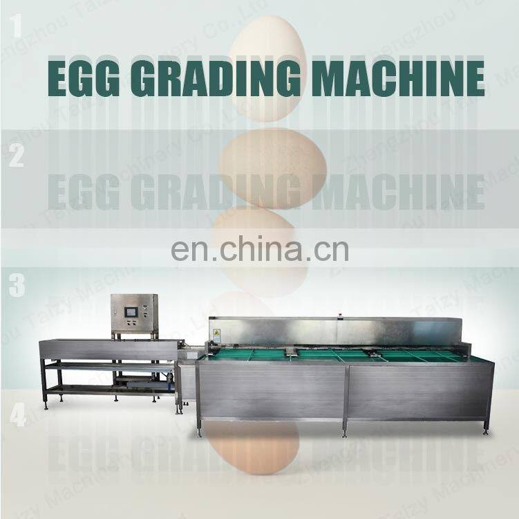 Industrial egg sorting machine candling grader