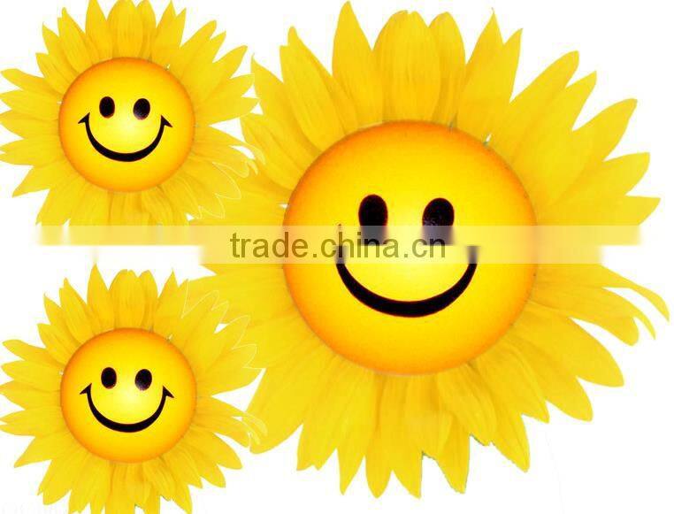 Colorful Door/market mat