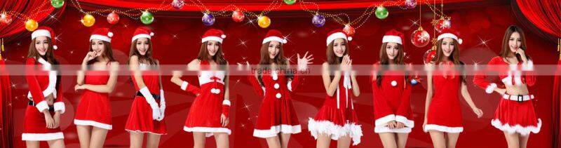 Santa Claus Mascot Costume