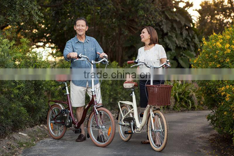 2016 16 inch mini cheap price bicycle fold/folding bike/bicycle folding (FD-16002)