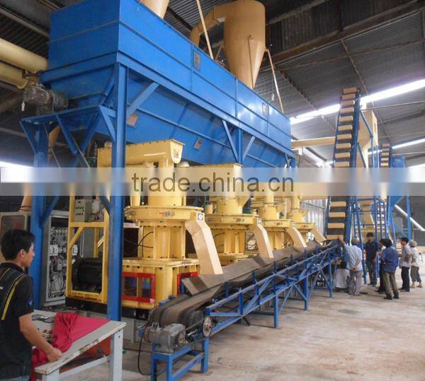 Bio Wood Pellet Machine Production Line