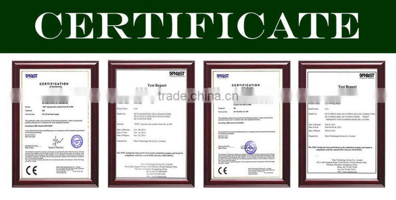 Hot Sale New Product Two-Line LED Display with colors