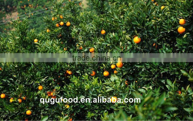 2016 New crop fresh mandarin orange price