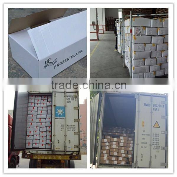 Fresh frozen mackerel prices competitive