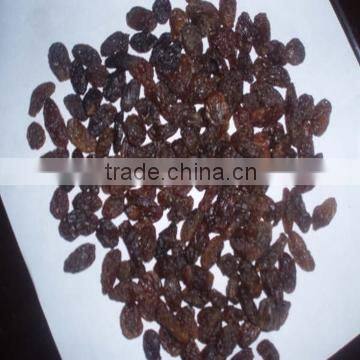 Sunshine kinds of raisins