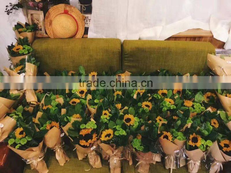 Nursery direct Fresh cut Sunflower