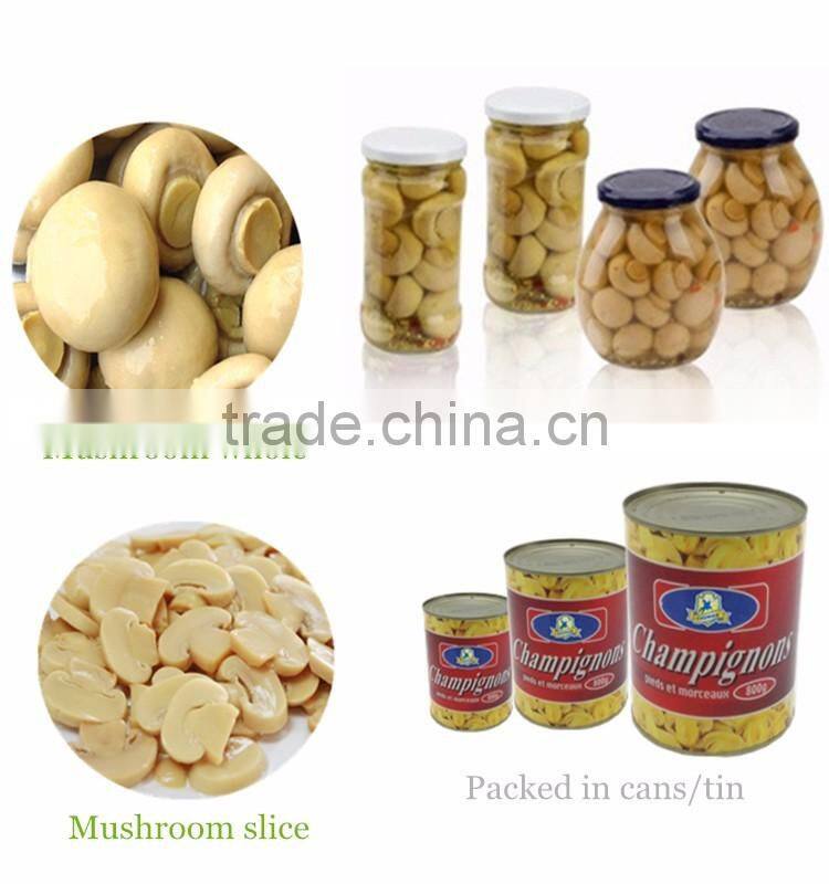 2016 China market prices for mushroom in jars