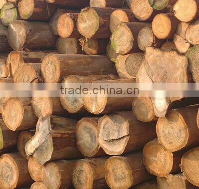 High capacity wood chipping machine