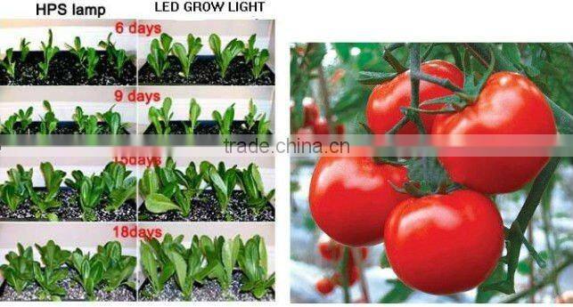 Integrated light source ,300w integrated led grow light ,60 90 120 degree growlight fpor indoor plant