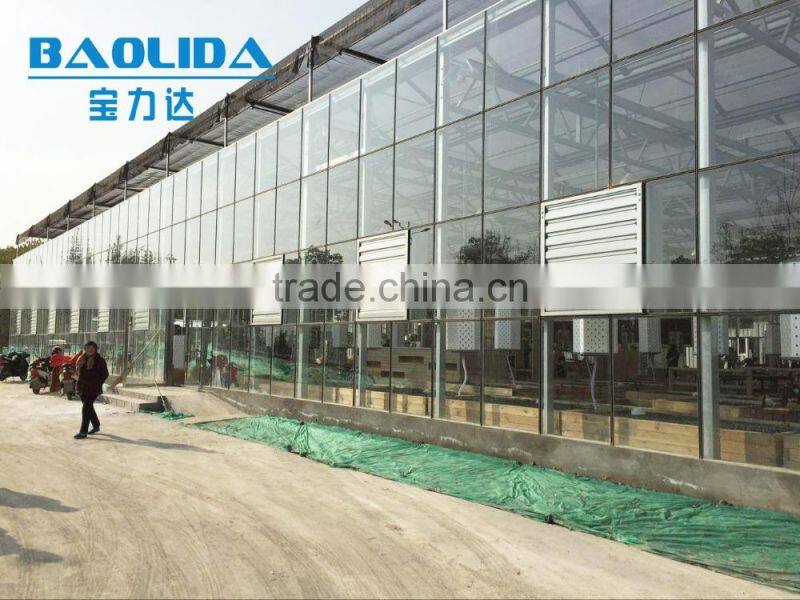 Economic used in greenhouse venlo