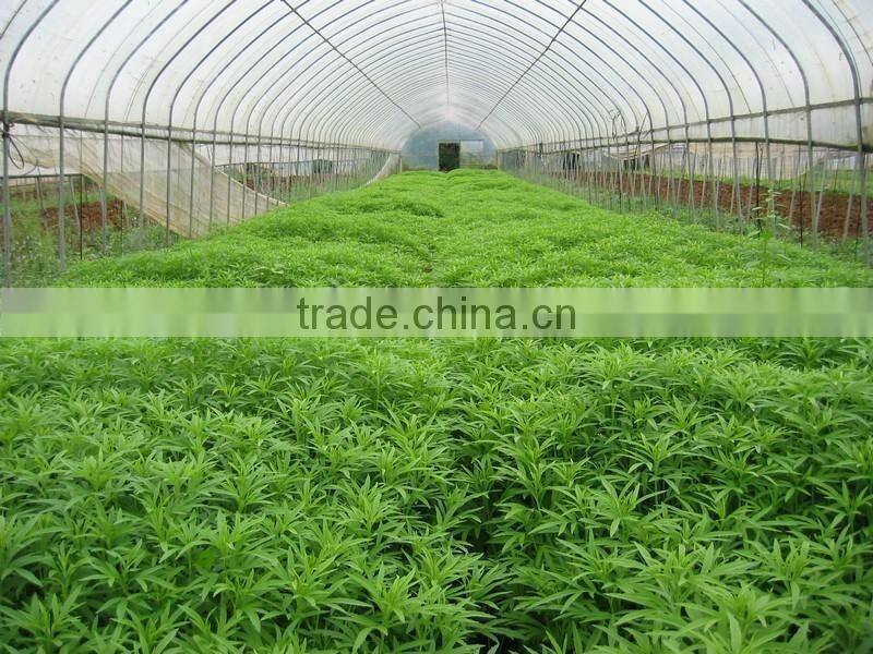 Simple external blinds plastic film greenhouse