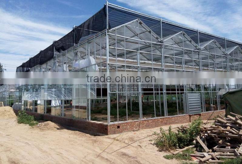 Agricultural large size/span glass greenhouses for potatoes/tomatoes