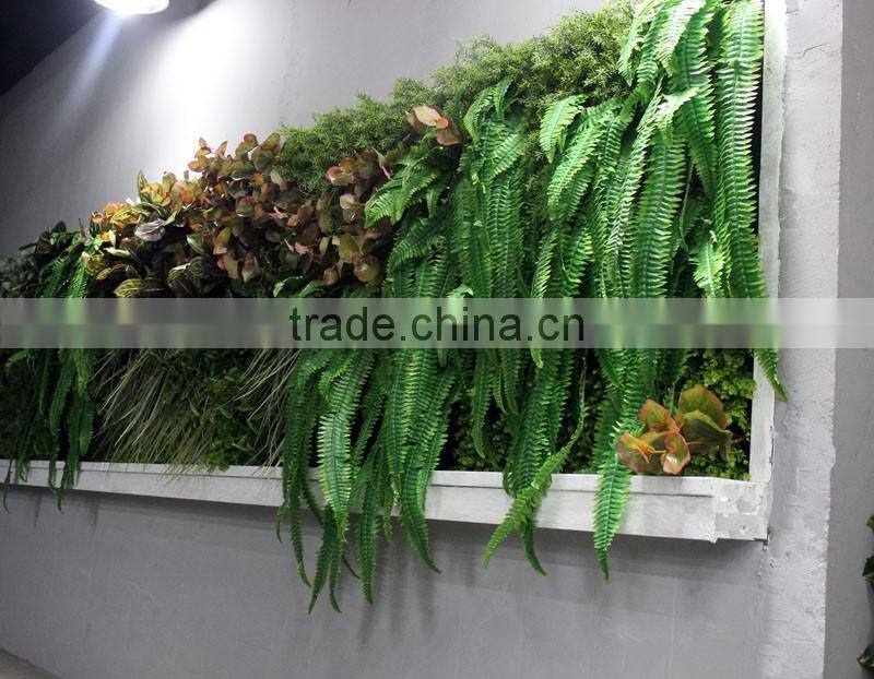 art design artificial grass plant combination framed plants on wall LGH15-17