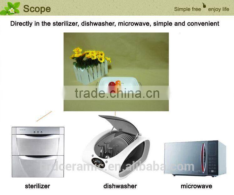 Gold rim four pane 2015 ceramic plate with handle