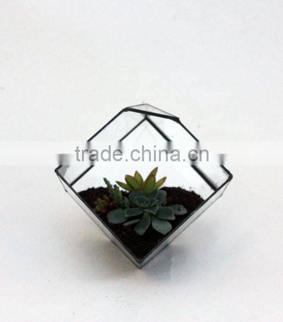 Stained Glass Small Cube Airplant Cactus Terrarium