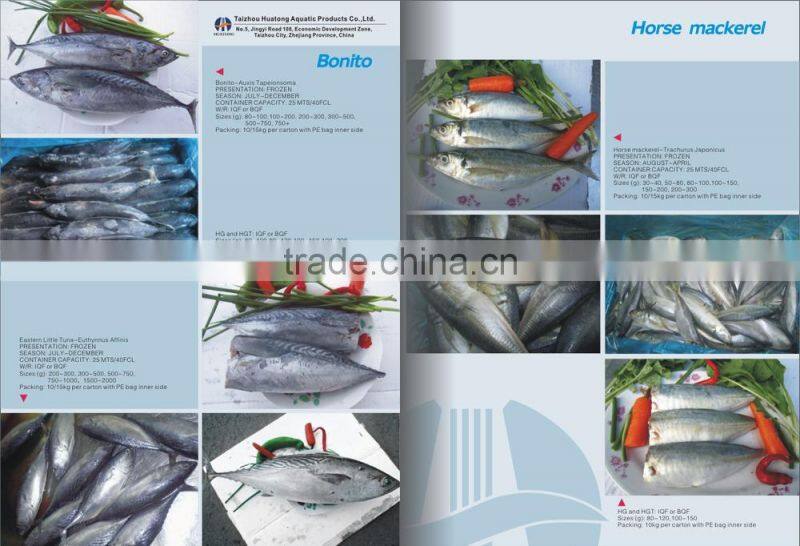 frozen spanish mackerel steaks