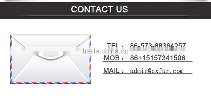 CX-H-27C 2016 Latest Fashionable Desgin Genuine Fox Fur Ladies Hand Bag