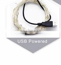 Dimmable Remote Controlled Battery Powered Copper Wire Lights Holiday Decorative Timer