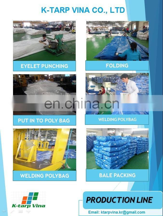 ECONOMY GREEN PE TARPAULIN, LIGHT DUTY TARP, 100 GSM  (ROLL TYPE)