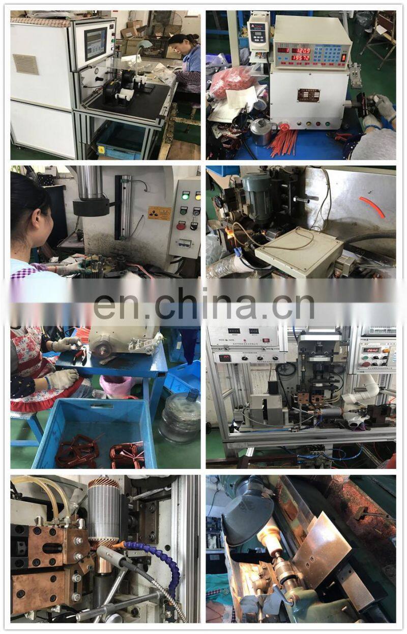 12V 500W Hydraulic Permanent Magnet DC Motor